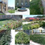 Чем дышит Дом Ребенка