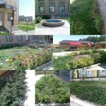 Сәбилер үйінің тынысы